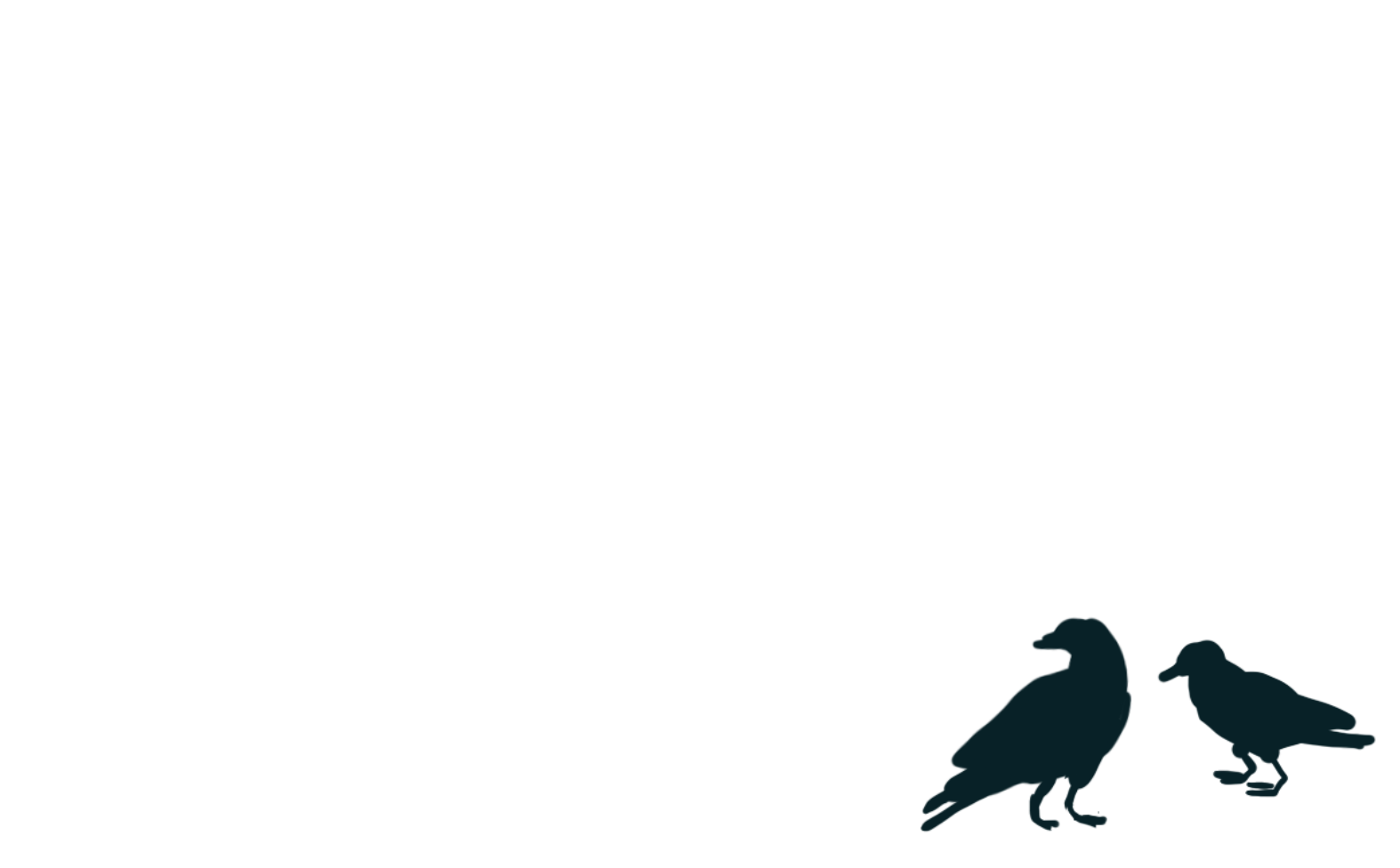 crows